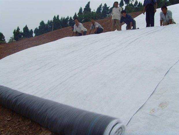 多塘生態補水系統為什么推薦天然鈉基膨潤土防水毯？