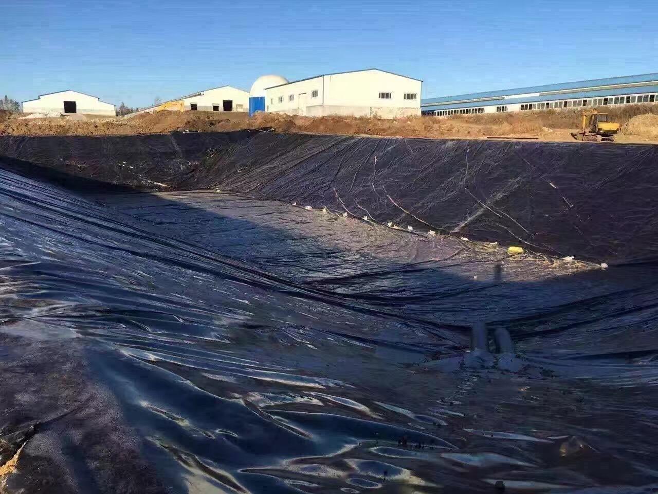 水庫鋪設土工膜底部墊層15cm細沙的作用？