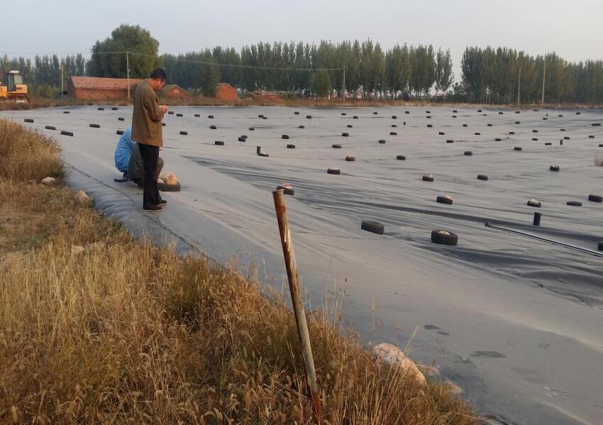 尾礦庫中排滲體系的土工布應用介紹