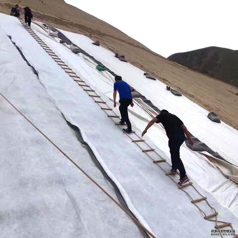 膨潤土防水毯等各種方案工程風險對比