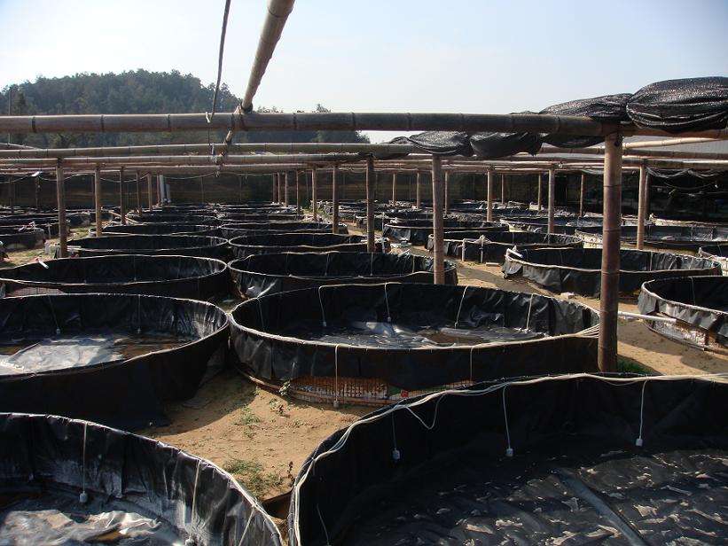 請參考石油儲罐基礎設施土工膜施工方法