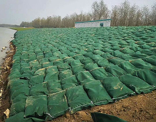 生態袋的生態修復功能豐富植被層次感和提高觀賞性