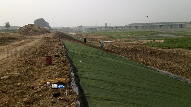 你知道城市綠化的草坪是如何一天內生長的嗎？