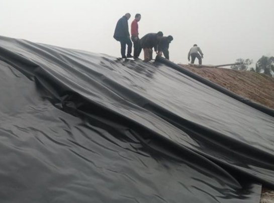 土工膜在堤防工程、河湖治理工程等減滲治理中都得到了很好的應用