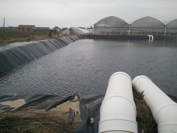 土工管袋脫水法在污泥脫水領域具有極為廣闊的前景