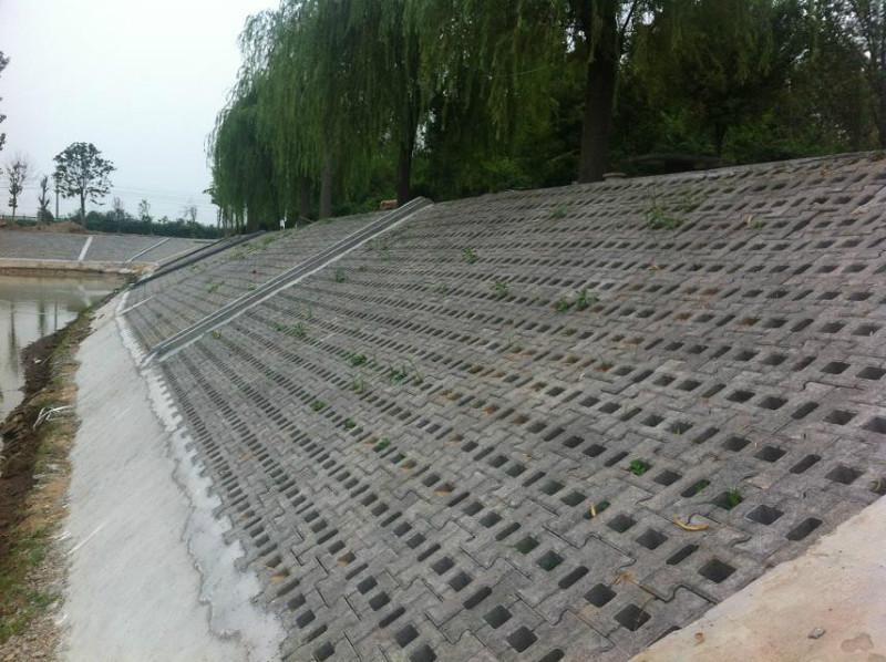 3種常見的坡式護岸技術分別是什么類型？