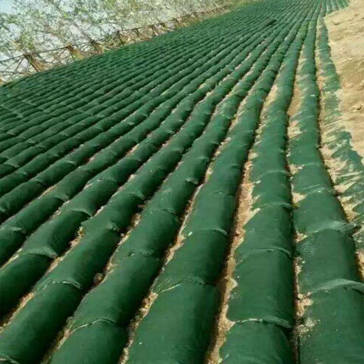 土干密度對生態袋-粘性土的界面摩擦系數也存在影響