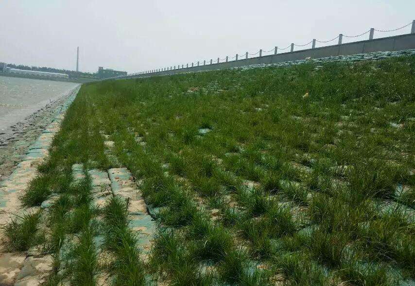常用的海島邊坡修復技術有哪些？如何修復海島邊坡？