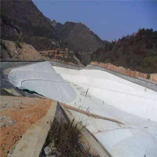 魚道斷面土工膜的設計標準與應用